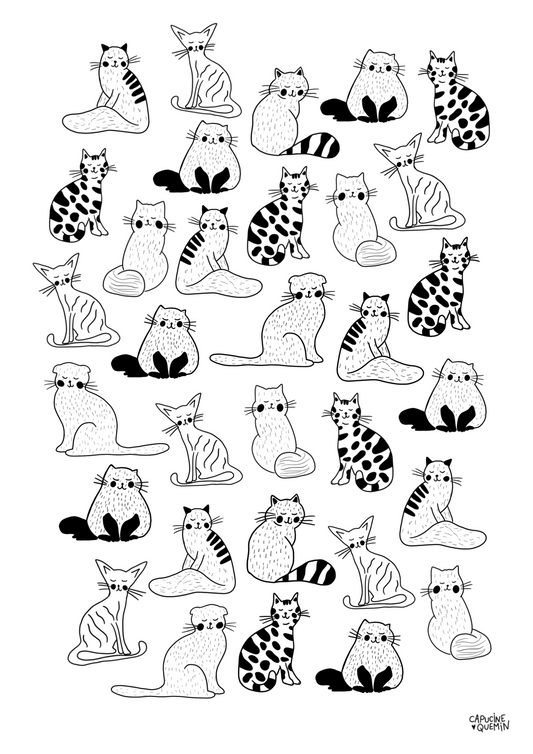 Affiche Chats