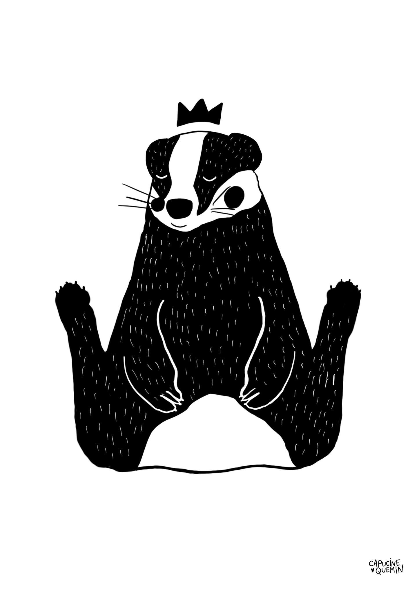 Affiche Blaireau King